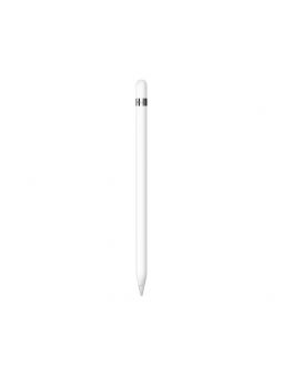 Apple Pencil 1ª Generación + Adaptador USB-C Blanco