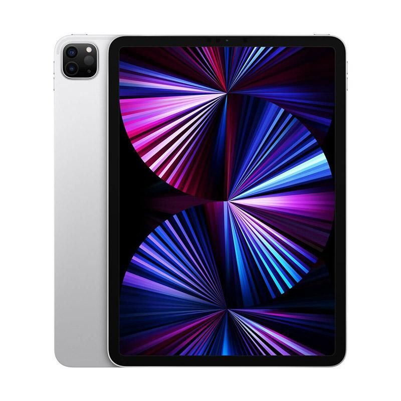 iPad Pro 2021 11" 2TB Wifi Plata